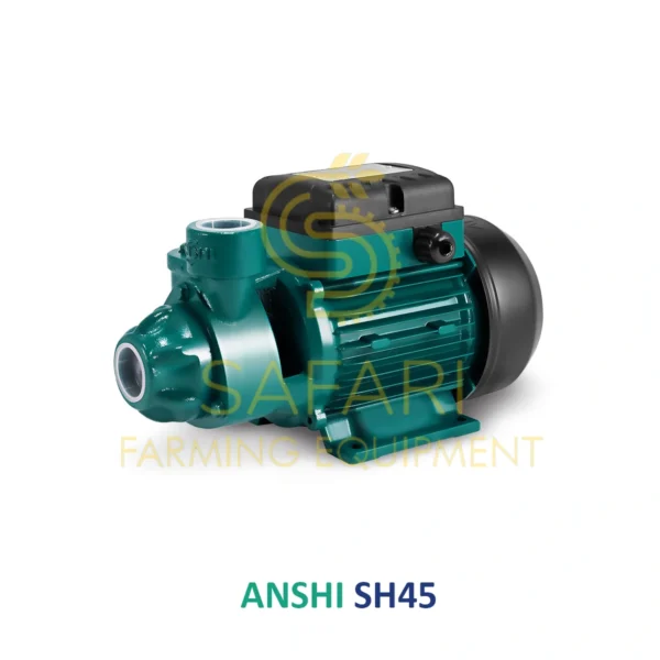 پمپ آب نیم اسب محیطی آنشی مدل ANSHI SH45