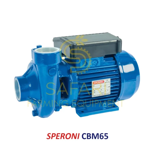 الکتروپمپ آب 2 اسب 2 اینچ اسپرونی مدل SPERONI CBM65